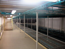 nets for ascendable footbridge